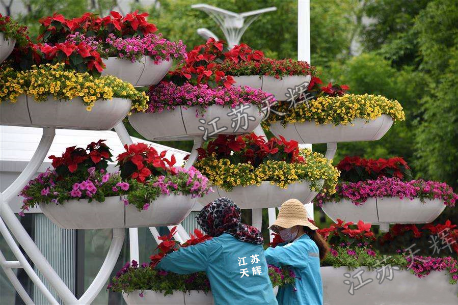 上海市道路铁艺花架已全部安装种植完工，完美验收！